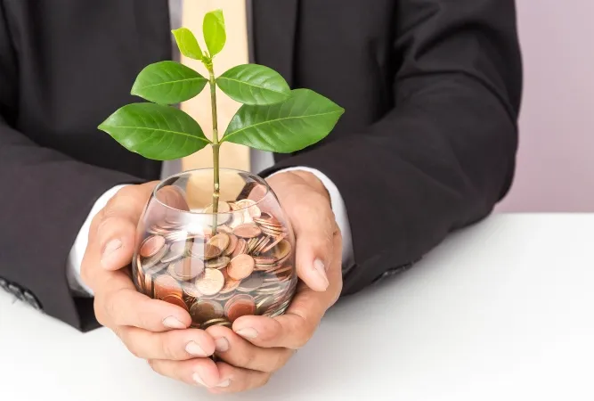 Investment Schemes